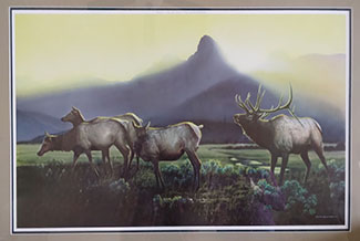 Montana Wildlife Artist Dave Samuelson print.